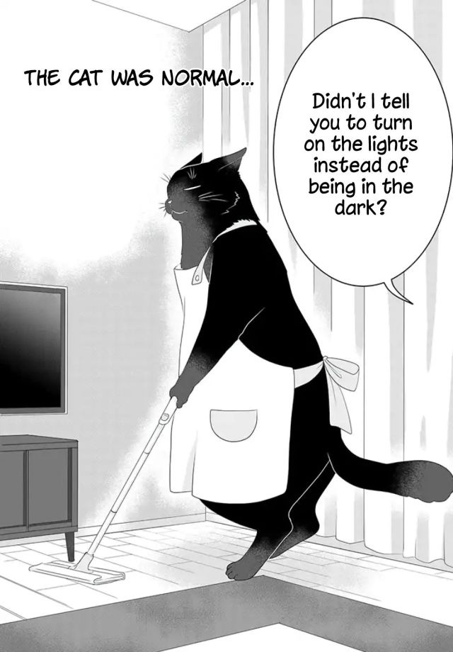 The Masterful Cat is Depressed Again Today - Manga First Impression -