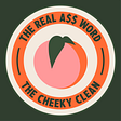 theCheekyClean's avatar