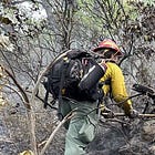 Firefighters Battle 1.26-Acre Blaze in Shenandoah National Park