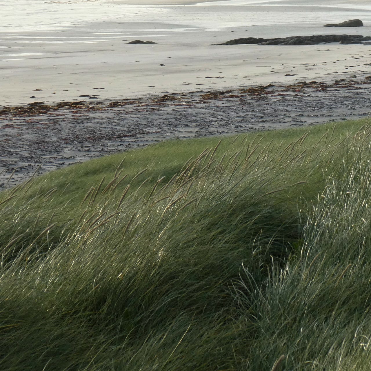 Evolved for Elsewhere