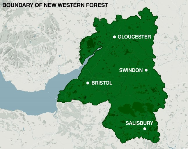UK to plant 20,000,000 trees to create first new national forest in 30  years | News UK | Metro News