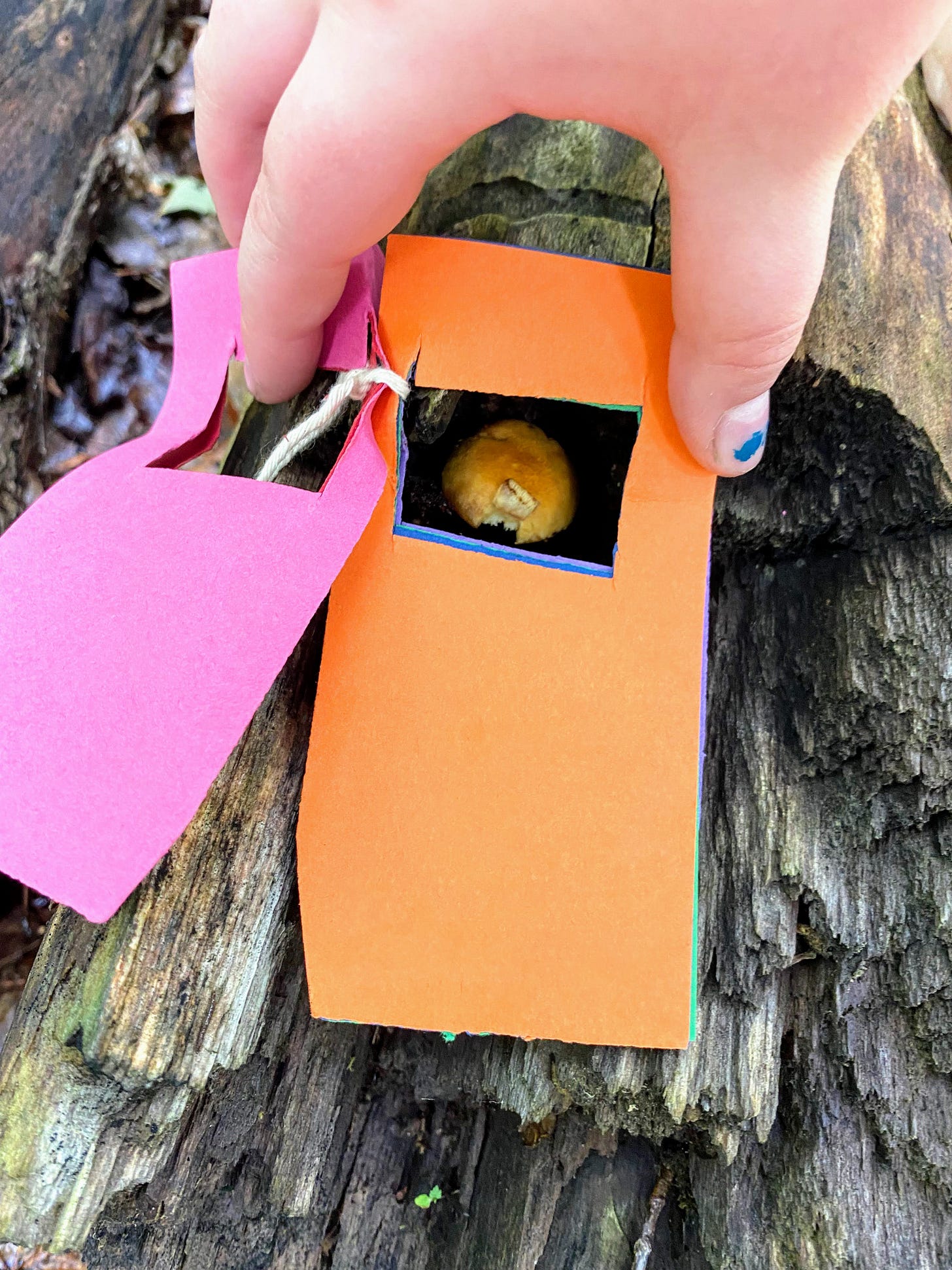 Child's hand holding orange paper next to orange mushroom.