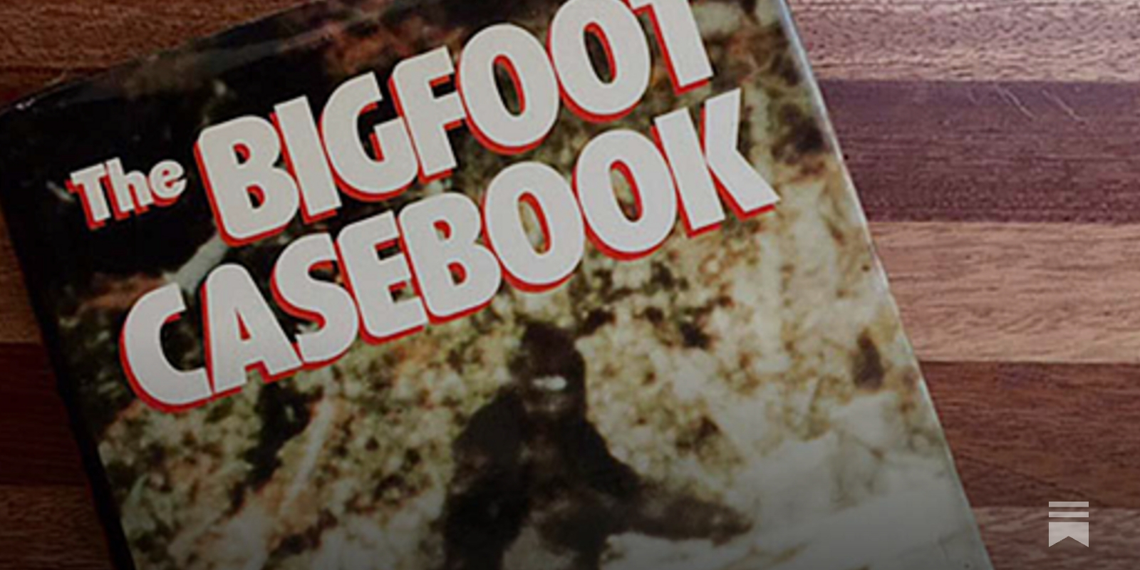 The Bigfoot Casebook - The Retroist