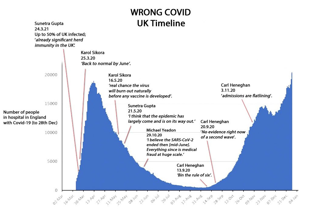 graph: wrong covid UK timeline - comparing UK covid hospitalizations in 2020 to british academics who said the virus was going away and everything would be normal
