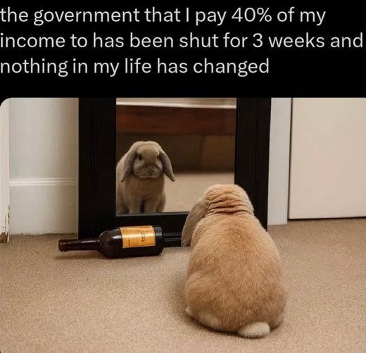 A light brown rabbit sits on a carpeted floor facing a white-framed mirror, with its reflection visible inside the mirror showing the same rabbit. An empty bottle with a gold label lies on the floor next to the rabbit. The setting appears to be an indoor room with white walls.