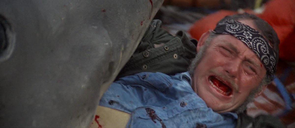 In Jaws (1975), Actor Robert Shaw was in fact not hurt during the scene  where his character Quint is eaten by the shark, because director Steven  Spielberg decided to use a fake