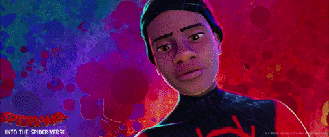 Spider-Man GIF by Spider-Man: Into The Spider-Verse