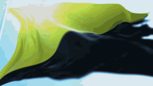 i3utm’s Anarcho-Stack