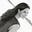 Diana Coss's avatar