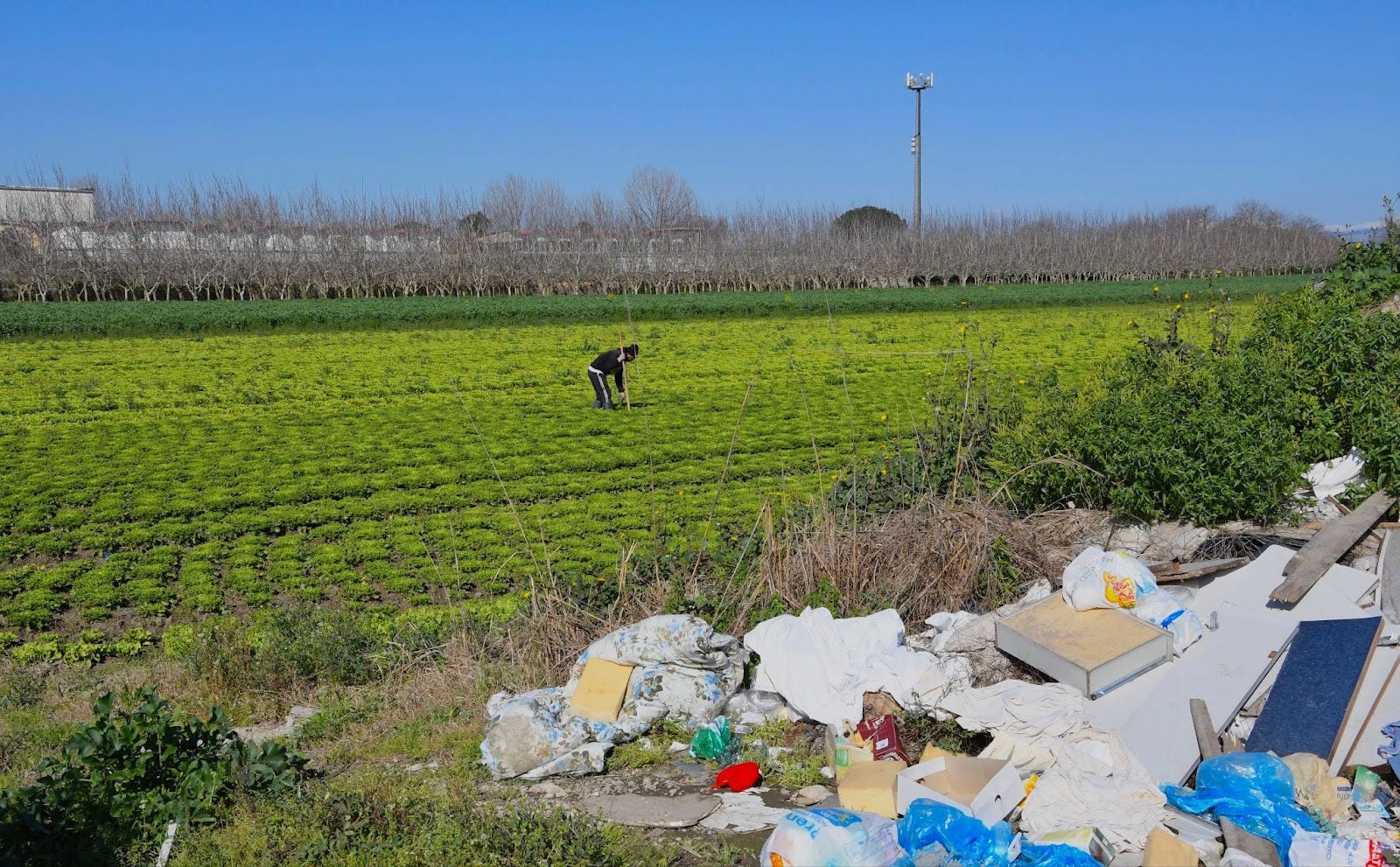 La terra sotto i nostri piedi