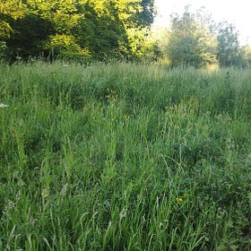 The wreaths of Kupala – a few words about women’s status among the Slavs