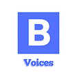 Borderless Voices's avatar