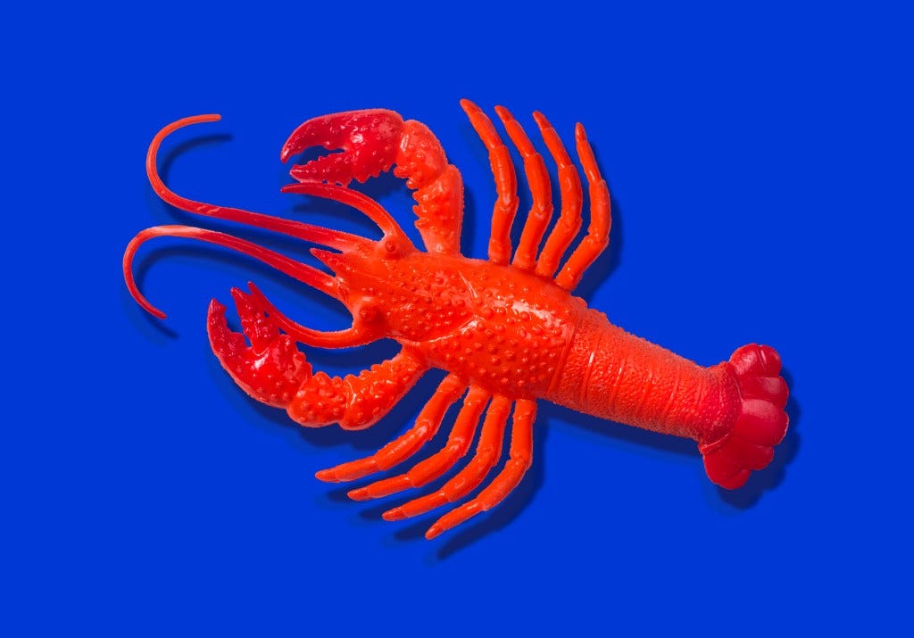 Red rubber lobster toy on blue background Red rubber lobster toy on blue background