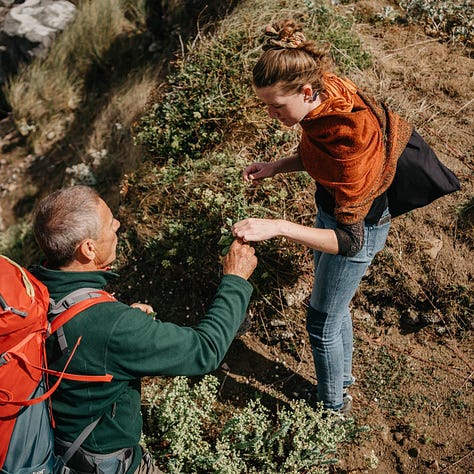 foraging in the brecon beacons