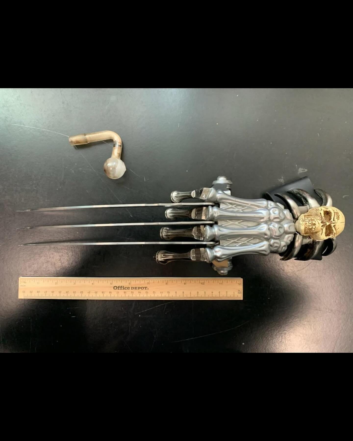 May be an image of bone