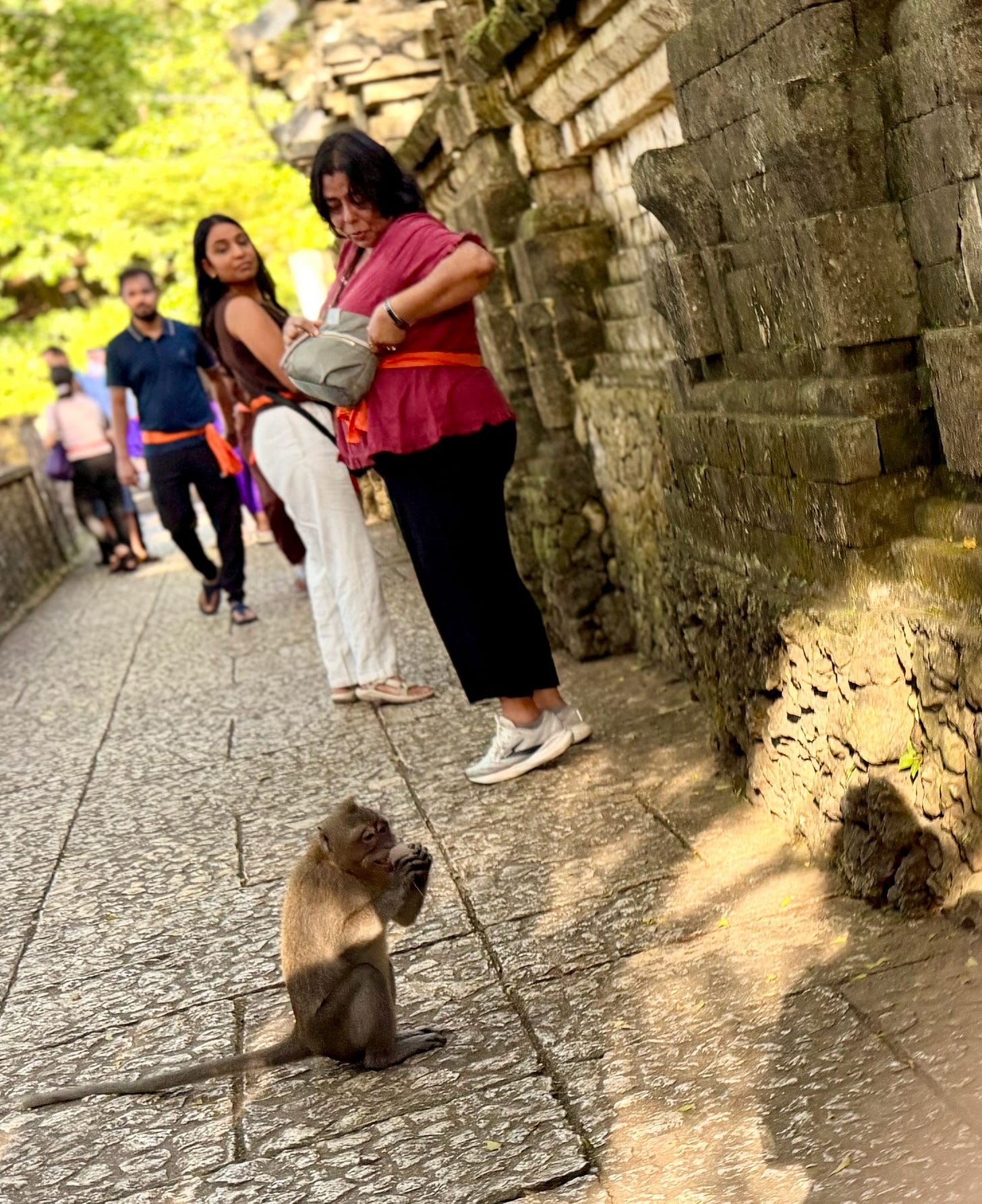 Monkey on a stone path at a temple in Bali with visitors nearby, some interacting and watching cautiously.