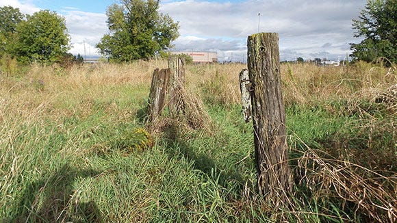 Looking east from the tree location. Fenceposts in the foreground, Canadian Tire Centre in the distance. September 2015.