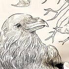 It's National Bird Day, let's talk birds!