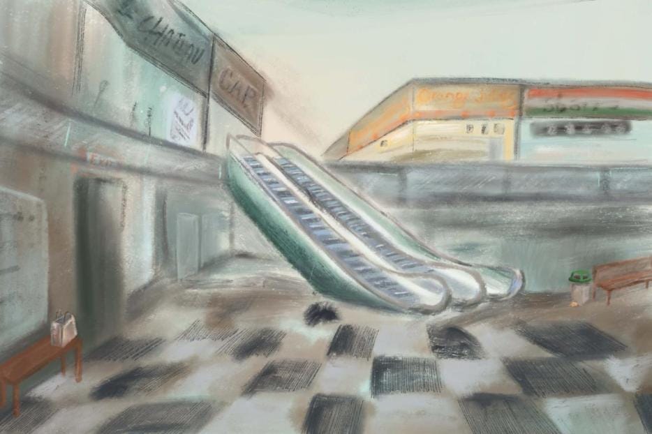 An abandoned mall with broken escalators and shuttered storefronts