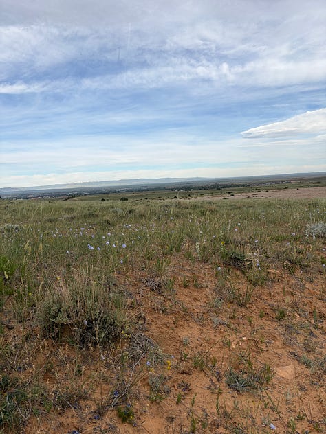 Images of the author’s time hiking, horseback riding, camping, fihsing, etc. in and around Laramie, WY