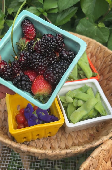 Brown, olive, and light blue chicken eggs, a basket of berries, and a yellow flowering plant