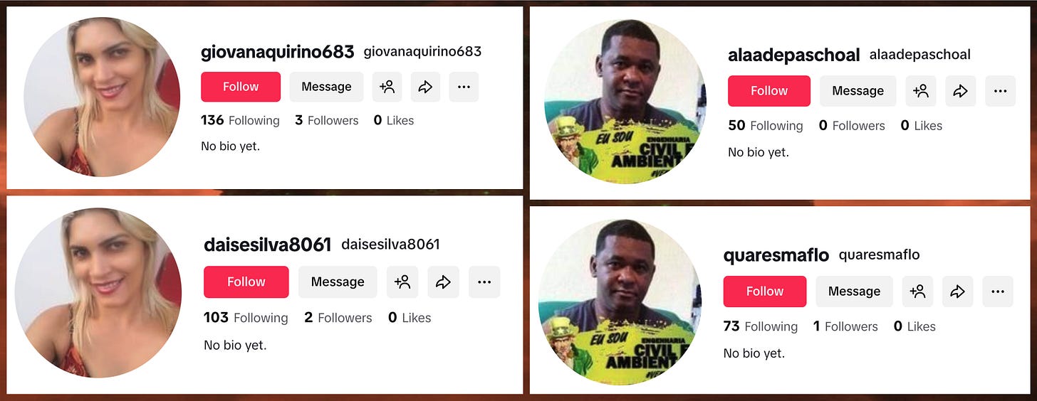 fake followers with duplicate profile images