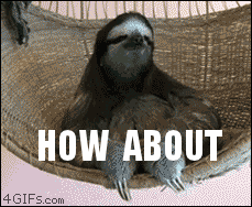Sloth Reaction GIF Sloth Reaction GIF