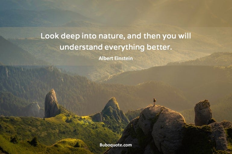 Look deep into nature, and then you will understand everything better. -  Einstein