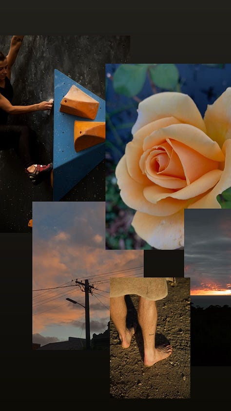 a collection of images, that made me stop and be present.