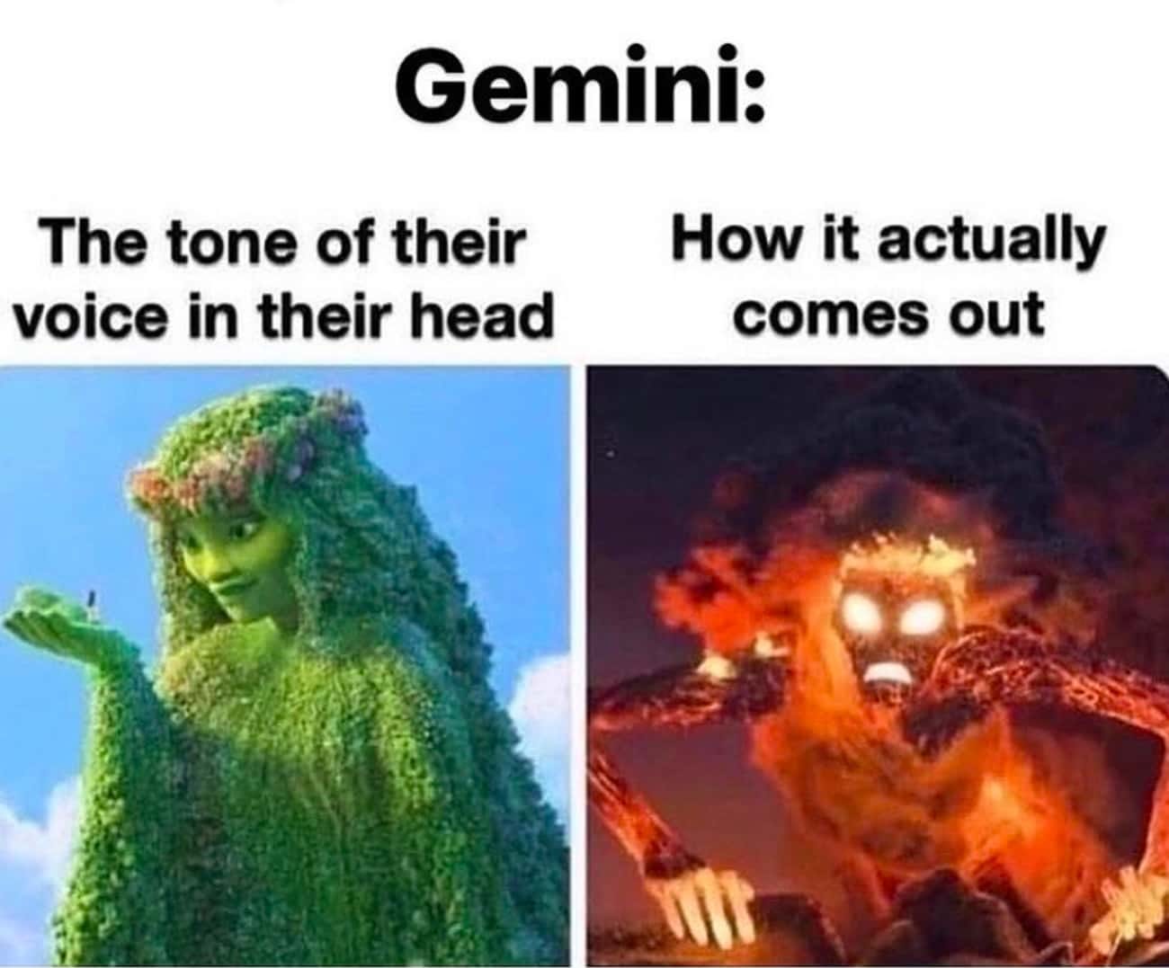 25 Funny Gemini Memes