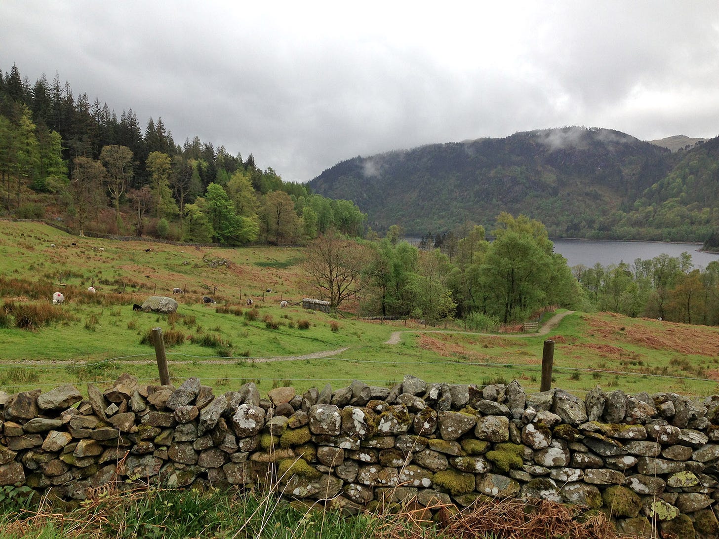 A footpath winding down a grassy hill past boulders larger than the sheep around them to a lake under a stormy sky in the Lake District of England