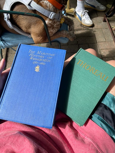 vintage and secondhand books bought in Provincetown, Massachusetts, including Mayflower by Nathaniel Philbrick, Robert Kennedy and His Times by Arthur M. Schlesinger, Jr.