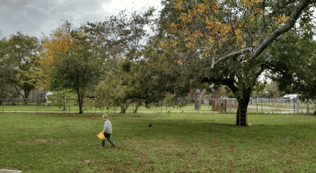 Printable Nature Walk Worksheet for Kids (and a Simple Guide to Nature Walks) Printable Nature Walk Worksheet for Kids (and a Simple Guide to Nature Walks)