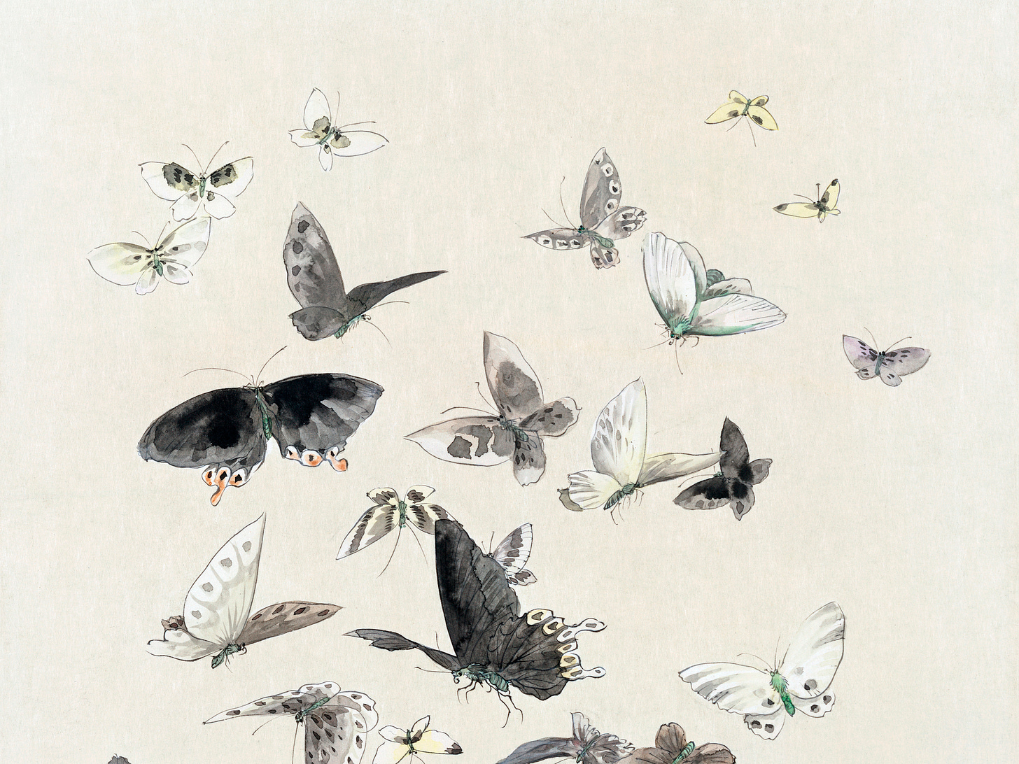 Watercolor illustration of a flock of butterflies.