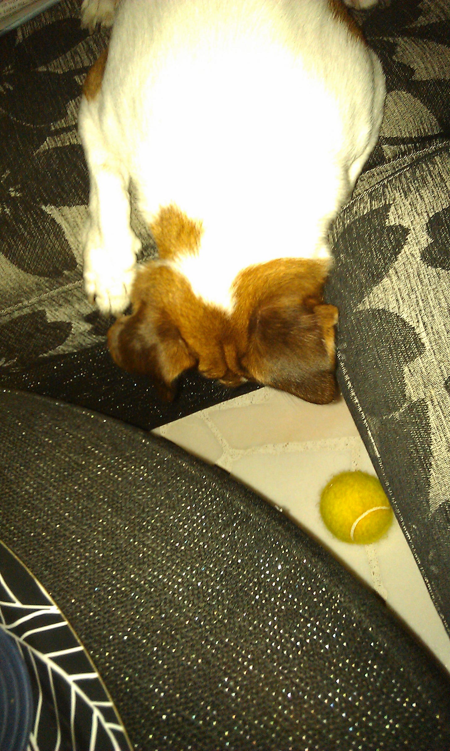 Toto never forced his brilliance. He simply hunted the ball. Toto never forced his brilliance. He simply hunted the ball.