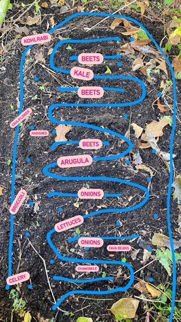 sample garden grid showing brassicas, root vegetables, and greens intensively planted sample garden grid showing brassicas, root vegetables, and greens intensively planted