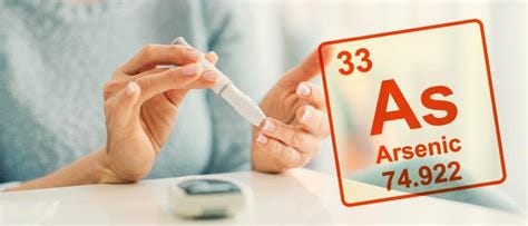 Link Between Arsenic Exposure and a Cause of Type 1 Diabetes | Columbia ... Link Between Arsenic Exposure and a Cause of Type 1 Diabetes | Columbia ...