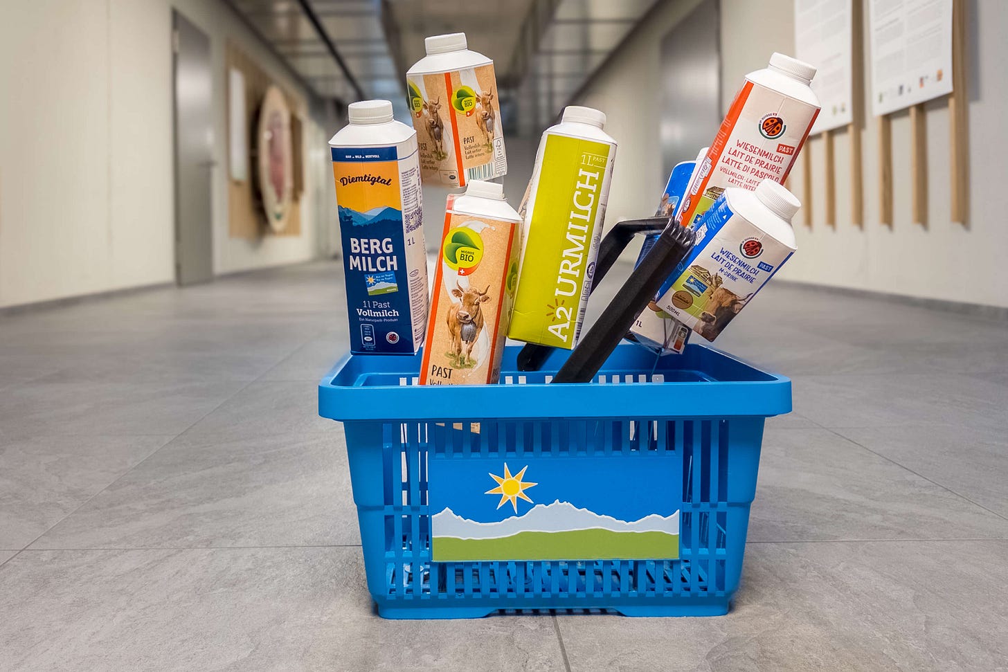 Ein blauer Einkaufskorb mit Alpenmotiv, gefüllt mit verschiedenen Milchpackungen, die aus dem Einkaufskorb davonfliegen (die leeren Milchpackungen sind auf dünnen Drähten aufgespiesst). Darunter sind Bergmilch, Migros Bio, A2-UrMilch und Wiesenmilch. Ein blauer Einkaufskorb mit Alpenmotiv, gefüllt mit verschiedenen Milchpackungen, die aus dem Einkaufskorb davonfliegen (die leeren Milchpackungen sind auf dünnen Drähten aufgespiesst). Darunter sind Bergmilch, Migros Bio, A2-UrMilch und Wiesenmilch.