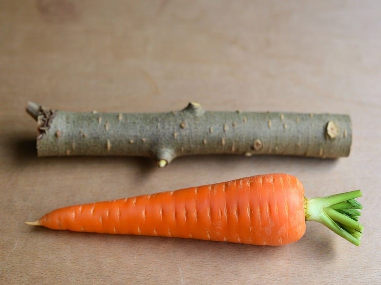 A photograph of a carrot and stick on a wooden surface, with a simple, minimalist composition.