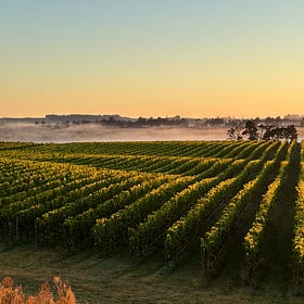 [Post-taste] The Diversity Bonus: Two Terraces Vineyard