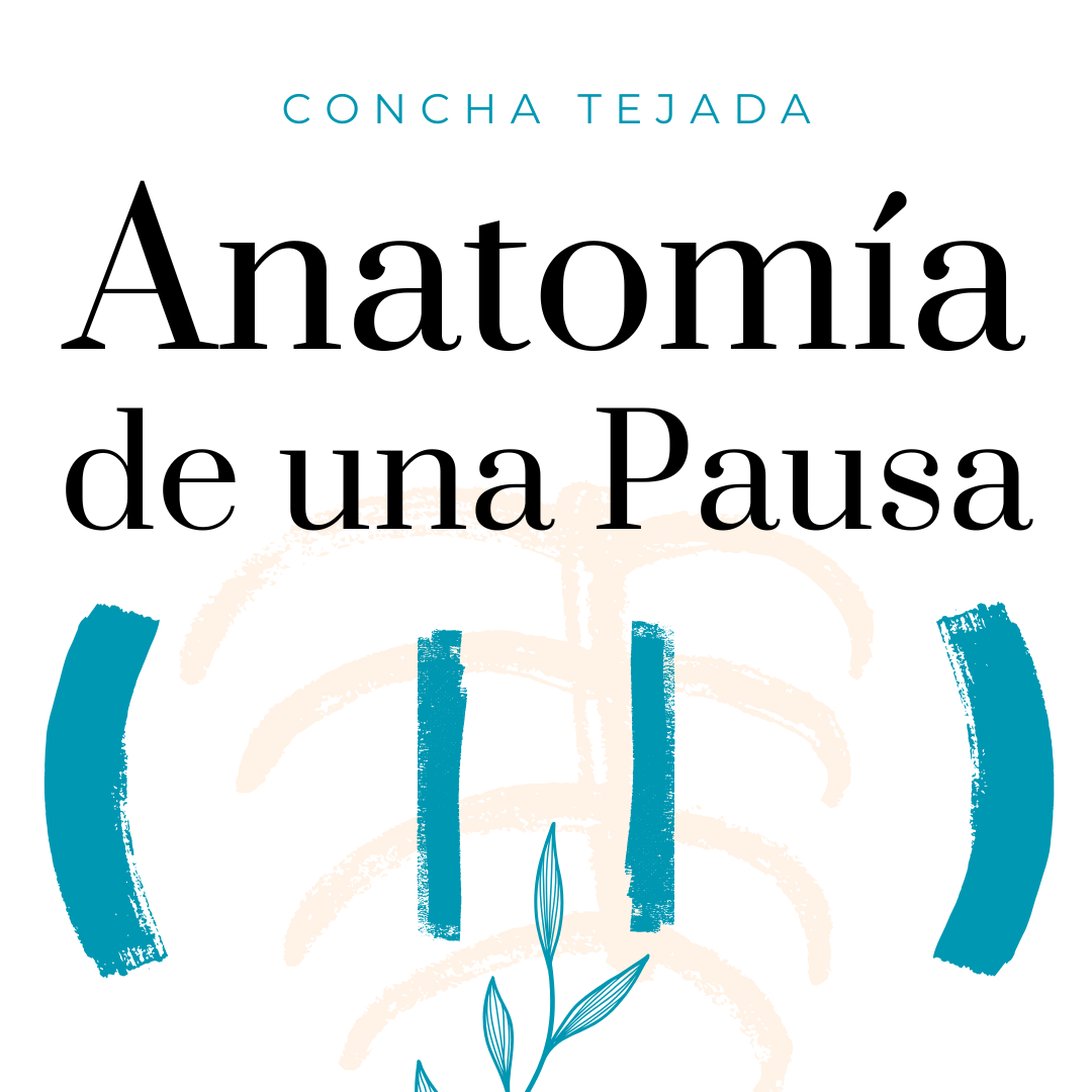 Anatomía de una Pausa