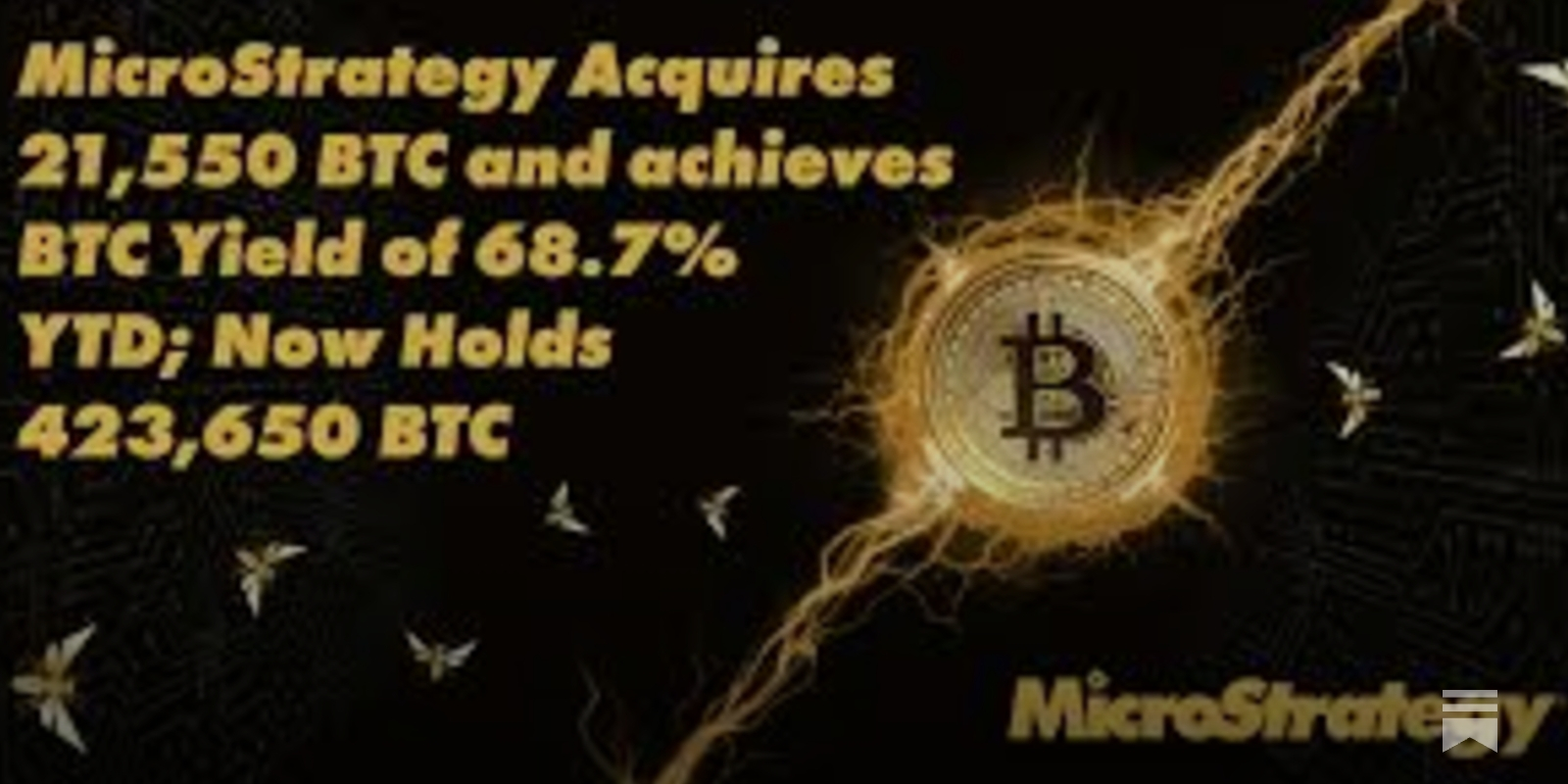 Does Microstrategy Own Too Much Bitcoin?