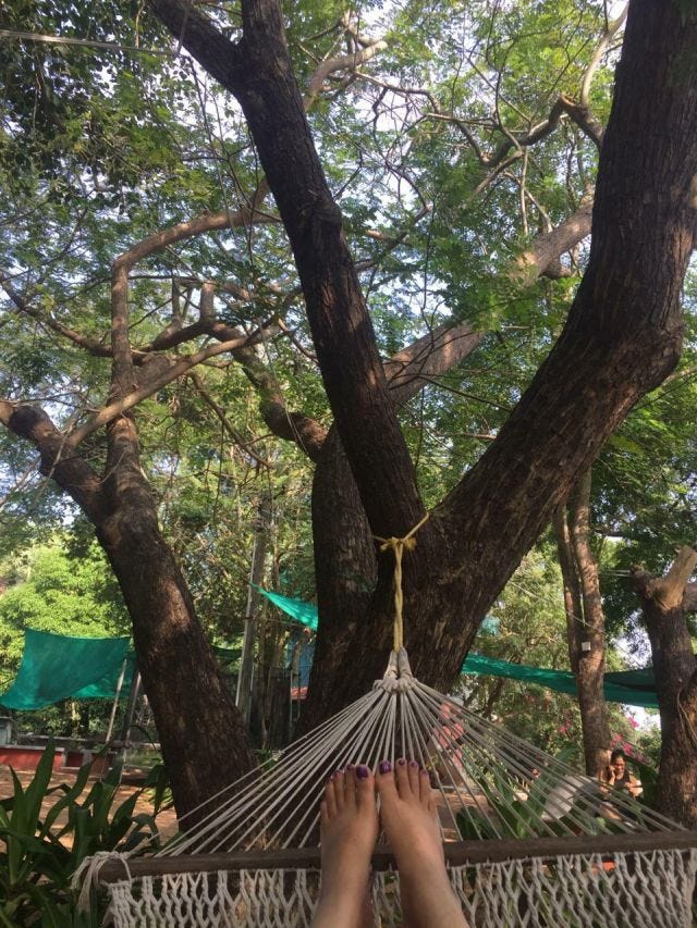 Feet on a hammock tied to a tree whose canopy is seen in the photo. Feet on a hammock tied to a tree whose canopy is seen in the photo.