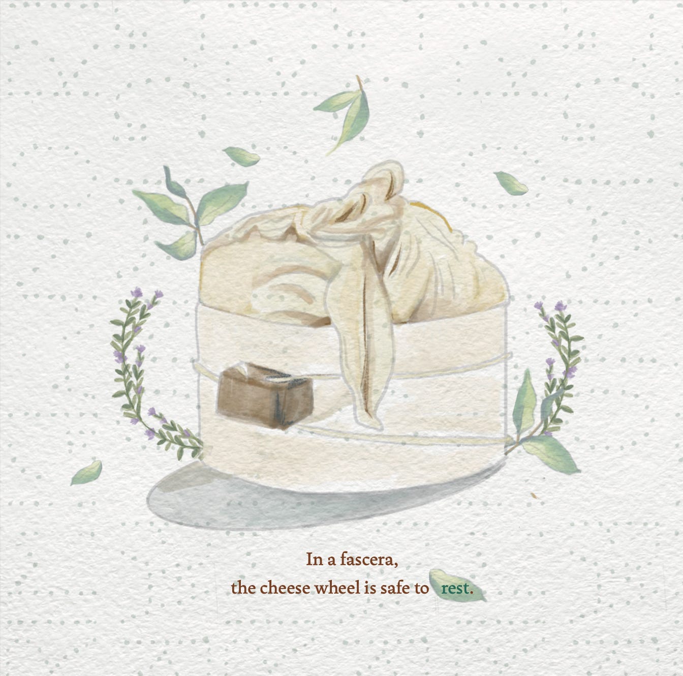 We are Cheesemakers_Fascera.jpg