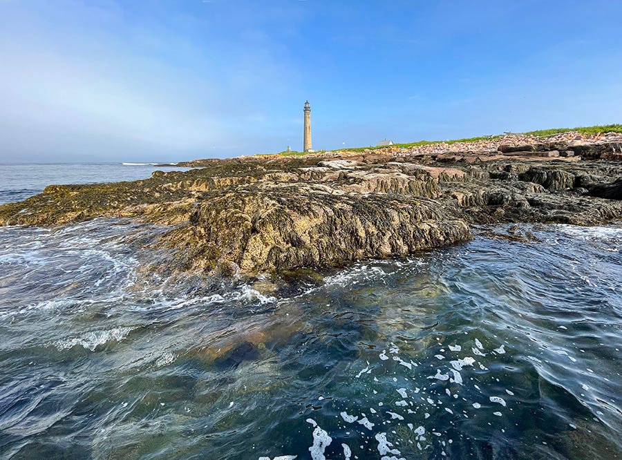 Petit Manan Petit Manan