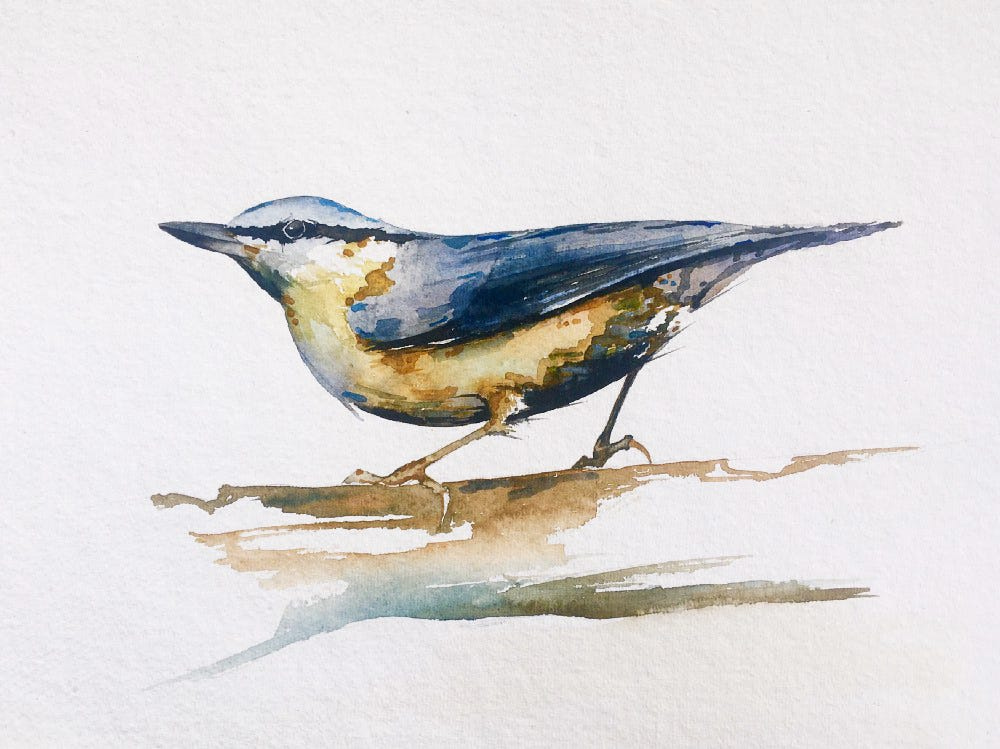 Bird watercolour painting tutorial