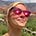 Kimberly “Kim” Wexler, MA JD's avatar