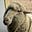 Idlewild Farm & Fiber's avatar
