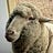Idlewild Farm & Fiber