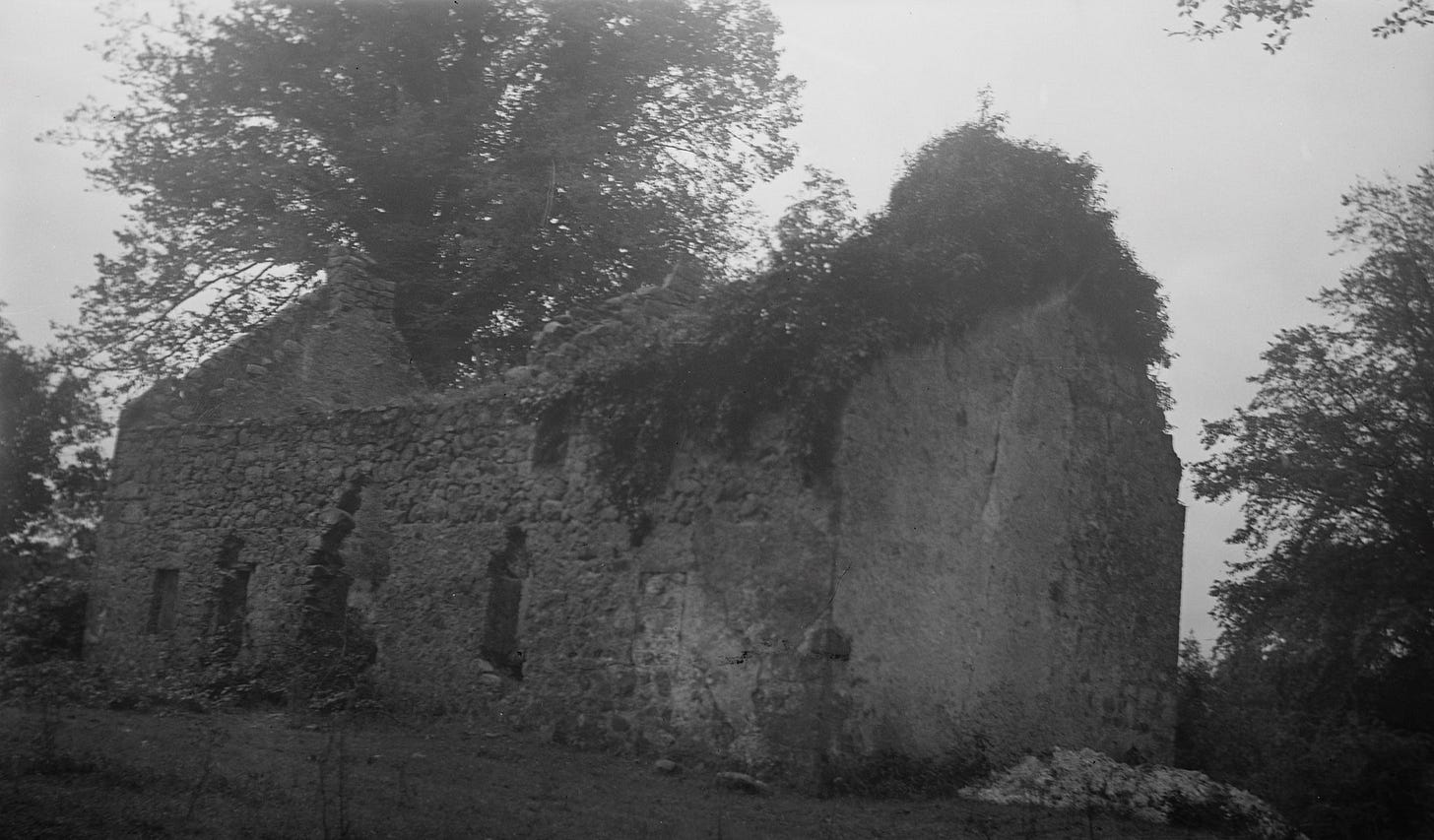 photo of falling-down stone house with a tree growing through the center